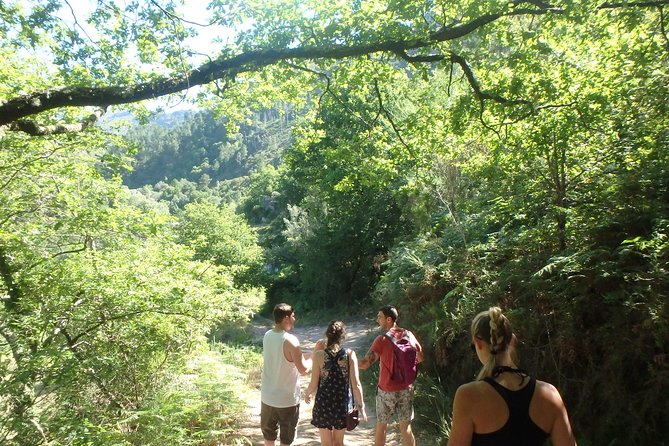 Kayaking and Waterfall in Peneda-Gerês National Park from Porto - How weather affects your day (and how the tour handles it)
