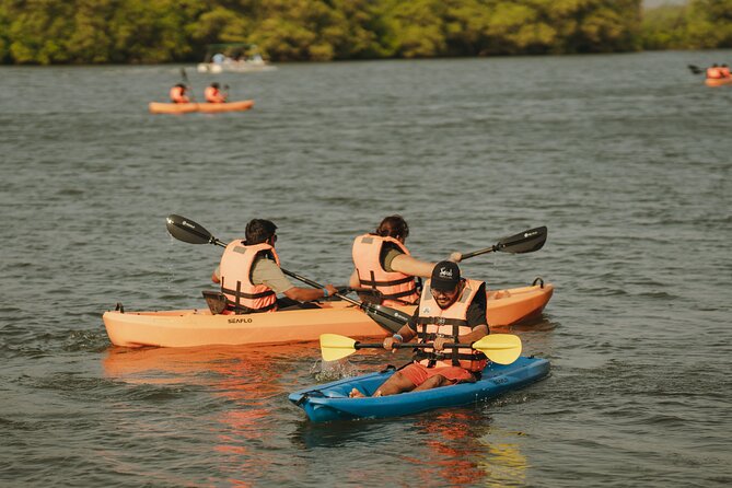 Kayaking At Private Island In Goa - Kayaking the Chapora backwaters: what you’ll do and how it feels