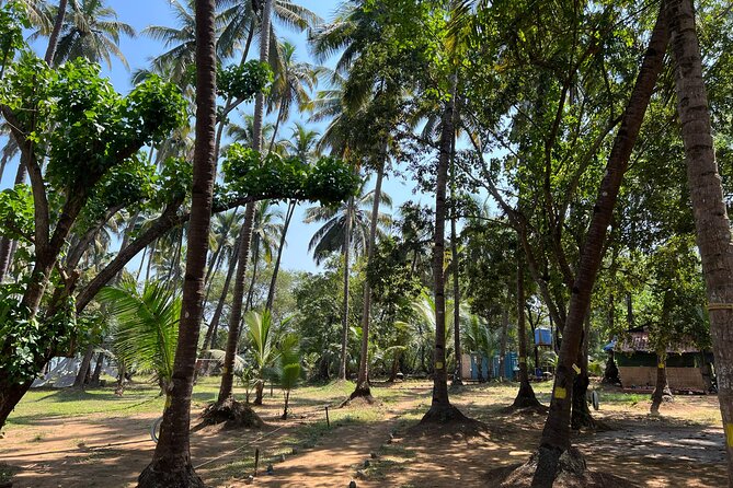 Kayaking At Private Island In Goa - What to bring (and what you should not assume is provided)