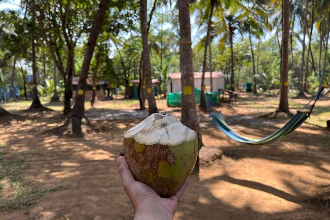 Kayaking At Private Island In Goa - The private island portion: welcome drink, tea, and cultural stories