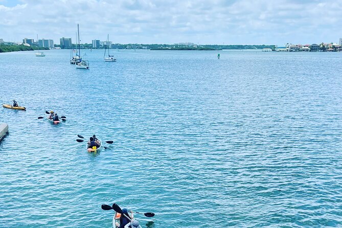 Kayaking Clear through Clearwater - What You’ll Learn From the Guide (Beyond Paddling)