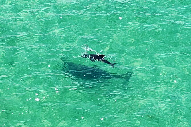 Kayaking Clear through Clearwater - Equipment and Small Friction Points (So You Know What to Watch For)