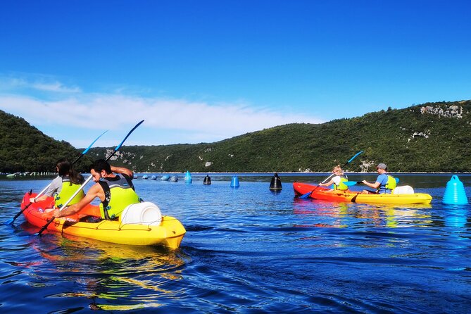 Kayaking Experience in Lim Bay Sea in The Croatian Fjord - Price and value: what $65.90 gets you (and what it avoids)