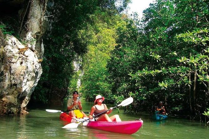 Kayaking in Ao Thalane - Discover the Mangrove life - The Certified-Guide Setup That Makes It Worth the Money