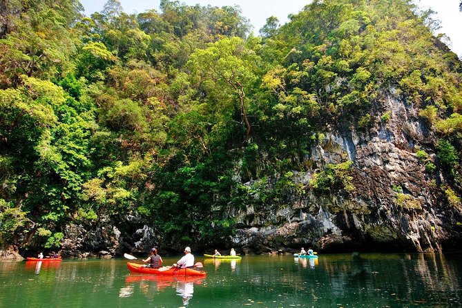 Kayaking in Ao Thalane - Discover the Mangrove life - Khao Phanom Bencha National Park: The Pool, the Cliffs, and the Caves