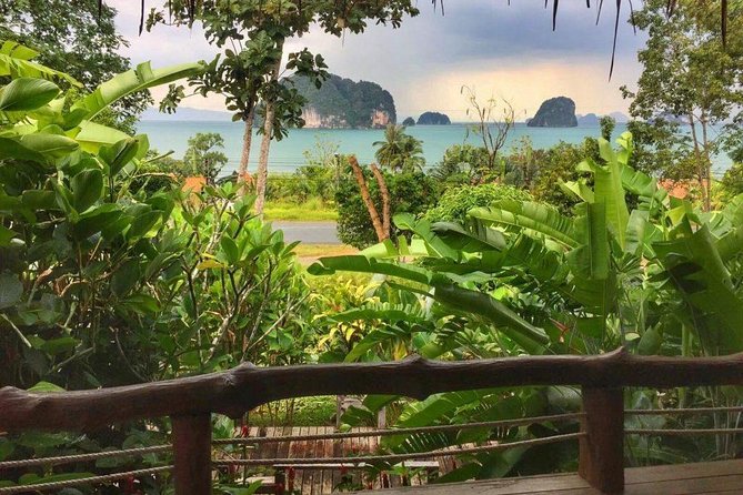 Kayaking in Ao Thalane - Discover the Mangrove life - Lunch at Khaotong Restaurant: Good for Many, Not Perfect for All