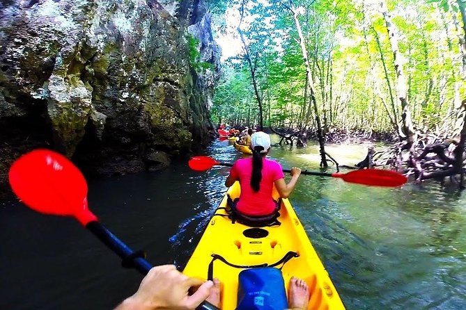 Kayaking in Ao Thalane - Discover the Mangrove life - Timing for Better Kayaking Water (and Why It Helps Families)