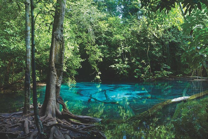 Kayaking in Ao Thalane - Discover the Mangrove life - Midday Jungle River Time: Where Fresh Meets Salt