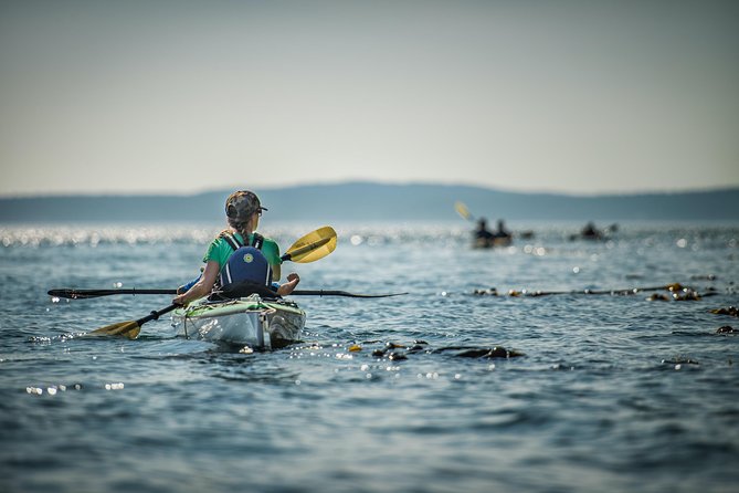 Kayaking in Deception Pass State Park - Who this trip fits best (and who should think twice)