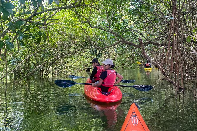Kayaking in Mangrove Forest of Paravur Backwaters near Varkala and Kollam - Why Paravur Backwaters Feel Like a Real Escape