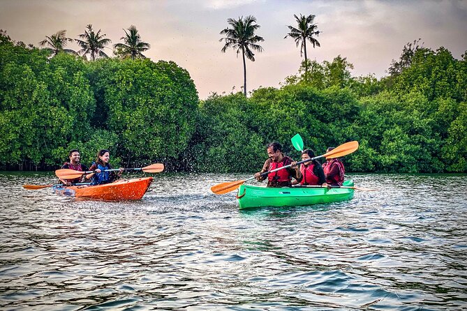 Kayaking in Mangrove Forest of Paravur Backwaters near Varkala and Kollam - Equipment, Team, and the Little Extras That Improve the Day