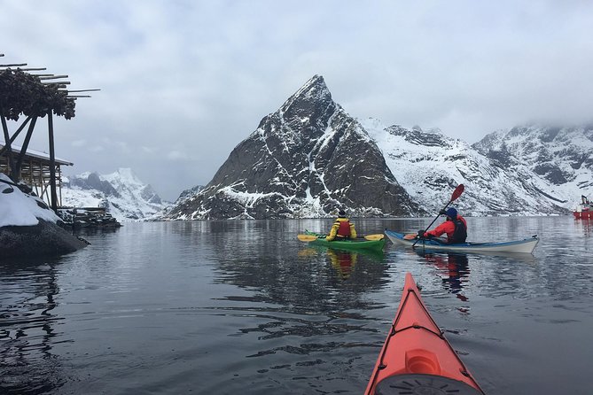 Kayaking in Reinefjorden - Pace, Group Size, and How Beginner-Friendly It Really Is
