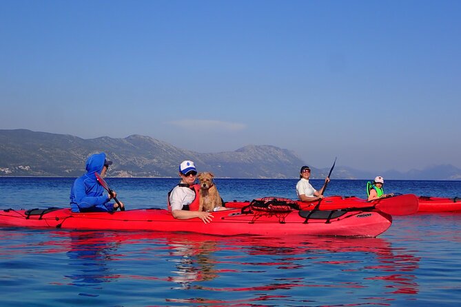 Kayaking Korčula's Paradise -Half Day Guided Kayak Tour - What’s included (and what you should bring anyway)
