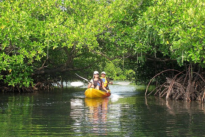 Kayaking Mangrove Adventure at Havelock - Key Things That Make This Mangrove Kayak Adventure Worth Your Time