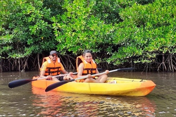 Kayaking Mangrove Adventure at Havelock - From the Jetty to the Mangroves: What Your Guide Actually Does
