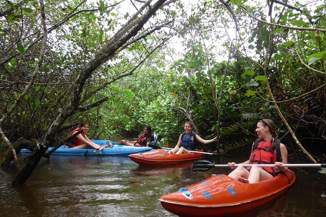 Kayaking Mangroves tour ( Natural Reserve ) - Price and value: what $36.27 buys you in Paraty