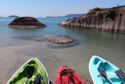 Kayaking Mangroves tour ( Natural Reserve ) - Paradise Beach and Jabaquara mangroves: where the longer route shines
