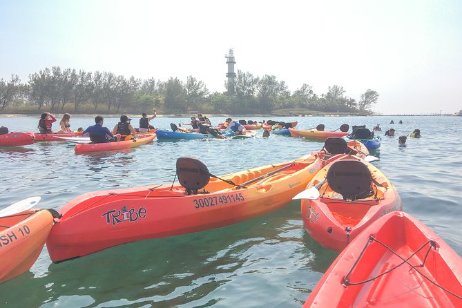 Kayaking on the Island of Sacrifices - Wildlife chances: turtles and dolphins without counting on it