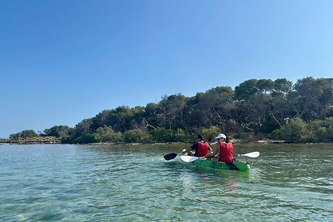 Kayaking & Snorkeling: Porto Cesareo and Rabbit Island - Key highlights worth your attention
