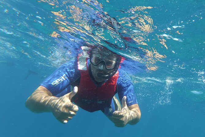 Kayaking + snorkeling with turtles - Price and value: does $54.44 make sense here?