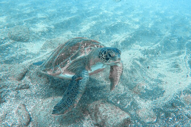 Kayaking + snorkeling with turtles - What you’ll likely feel physically (so you don’t get surprised)