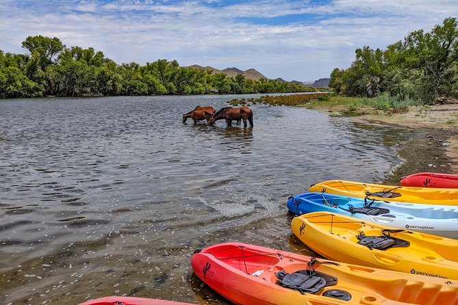 Kayaking the Salt River Foxtail Trip - The Two-Hour Float: What Happens Before and After You Paddle