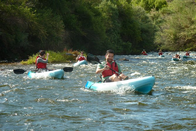 Kayaking the Salt River Foxtail Trip - Wildlife on the Lower Salt River: Wild Horses, Birds, and More