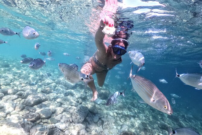 Kayaking to Island Saint Jerolim with snorkeling activitie - The practical gear and what you should bring
