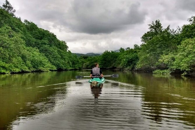 Kayaking to the mangroves - Key highlights you’ll actually care about