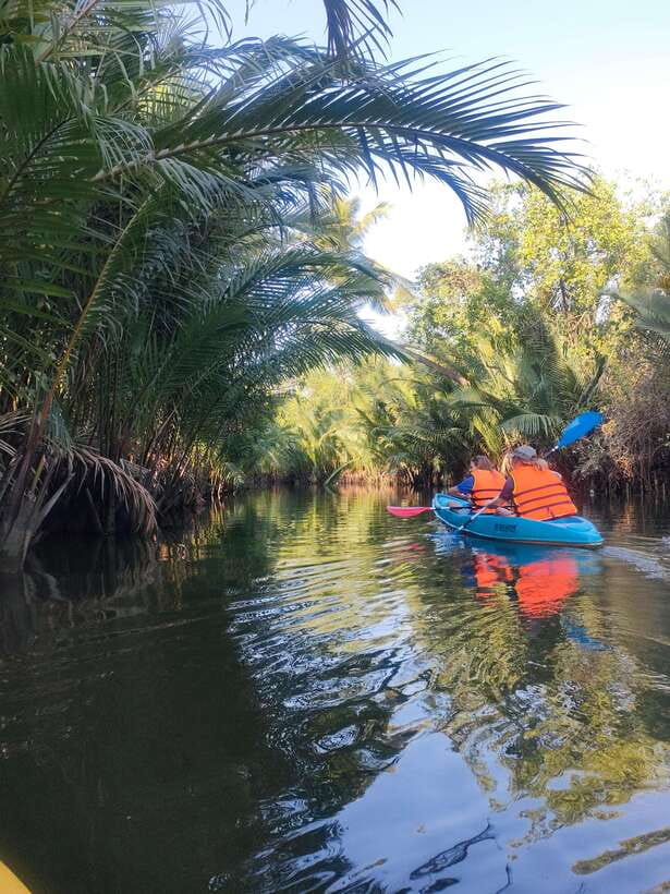 Kayaking tour around green cathedral - Swimming Break and Sunset Toast on the River