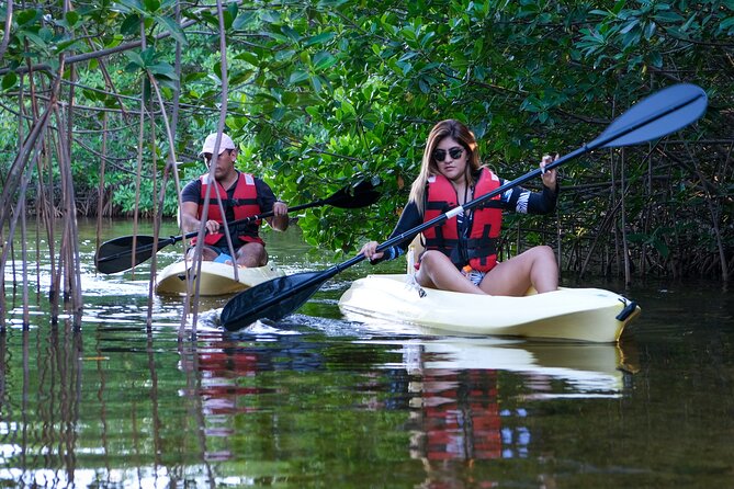 Kayaking Tour in Cancun - Kayaking in Nichupté Lagoon: the real appeal in 2.5 hours