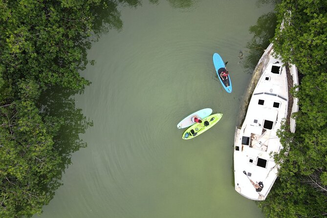 Kayaking Tour in Cancun - Physical comfort, weight limits, and who this suits best
