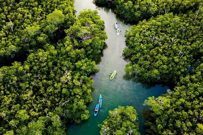 Kayaking Tour in Cancun - Value check: what’s included, what’s not, and why it matters