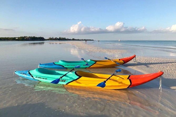 Kayaking Tour Through the Mangroves in Isla Holbox - What You’ll See in the Mangroves: Birds Up Close, Crocodiles If You’re Lucky
