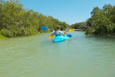 Kayaking Tour Through the Mangroves in Isla Holbox - The Full Plan: Two 45-Minute Paddle Sessions in Protected Water