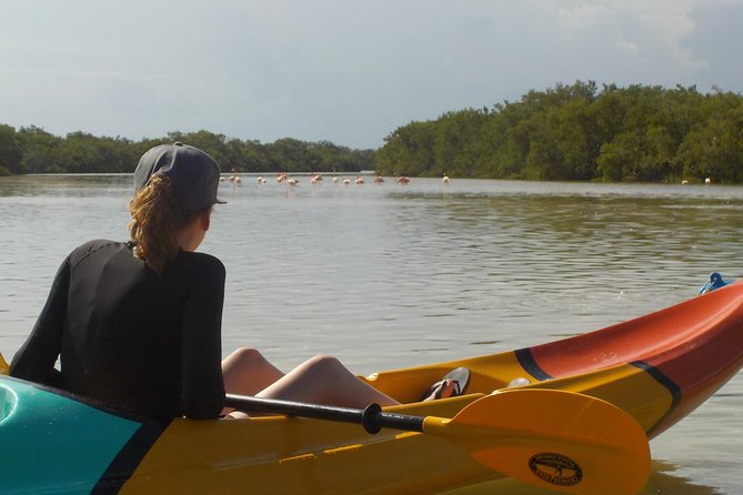 Kayaking Tour Through the Mangroves in Isla Holbox - Price Check: Is $50.78 Worth It for 3 Hours?