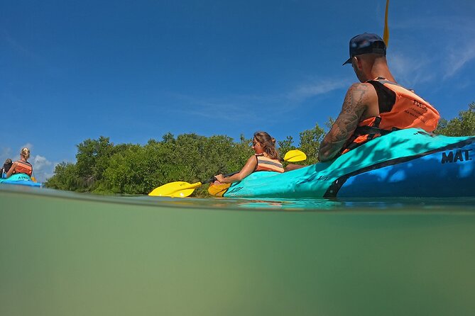 Kayaking Tour Through the Mangroves in Isla Holbox - What to Bring (So Your Mangrove Morning Stays Fun)