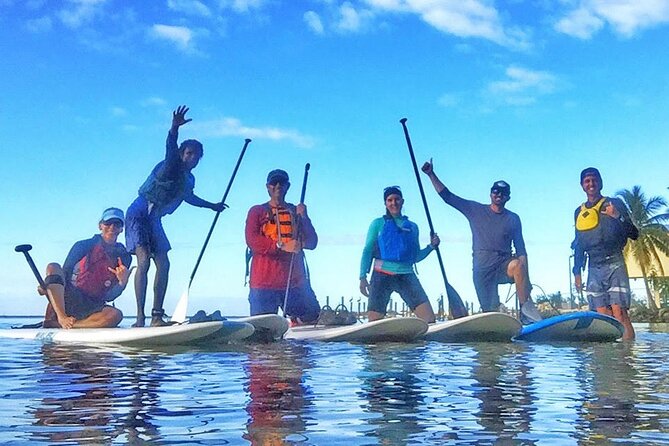 Kayaking with coastal wildlife in Sarasota Bay - Key highlights I’d circle on your plan