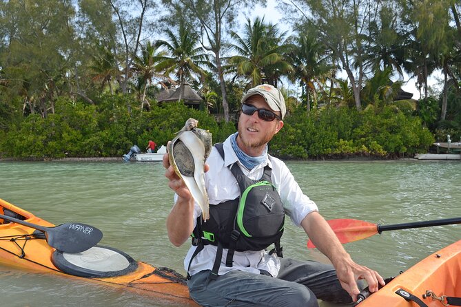 Kayaking with coastal wildlife in Sarasota Bay - Beach Stops and Sandbars: Why the Breaks Are Worth It