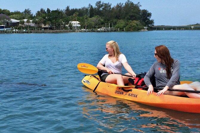 Kayaking with coastal wildlife in Sarasota Bay - Mangrove Tunnels and Florida Ecology: The Guide Makes the Difference