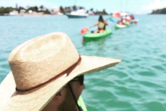 Kayaking with coastal wildlife in Sarasota Bay - Price and Value: Why $65 Feels Fair for This Kind of Trip