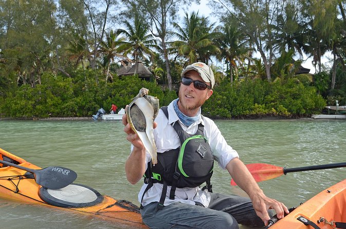 Kayaking with coastal wildlife in Sarasota Bay - Who This Tour Suits Best (and Who Might Rethink It)