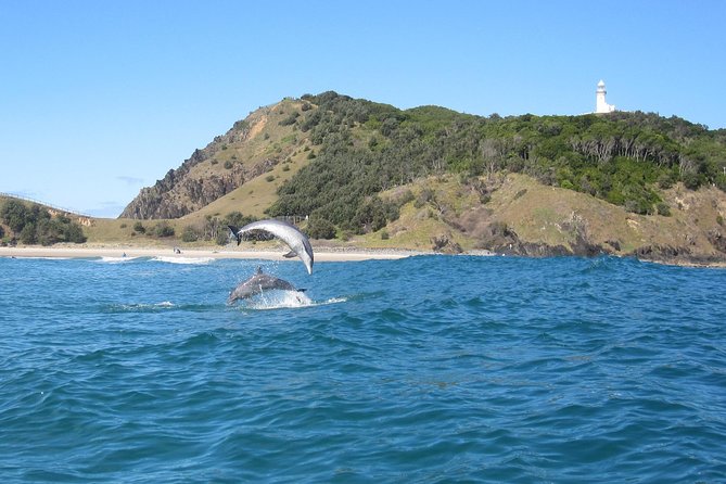 Kayaking with Dolphins in Byron Bay Guided Tour - Dolphin Kayaking in Byron Bay: What This Tour Really Delivers