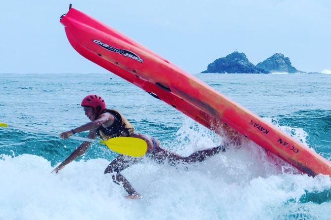 Kayaking with Dolphins in Byron Bay Guided Tour - Price and Value: Is $63.83 Worth It?