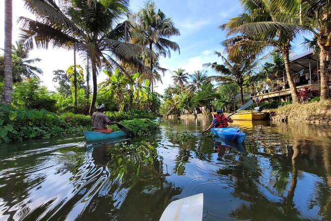 Kerala Backwater Village Kayaking Tour: Alleppey - Price and value: is $30.12 per person a fair deal?