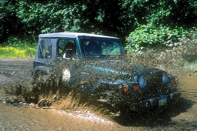Ketchikan Jeep and Canoe Safari - Price and value: is $229 worth it?