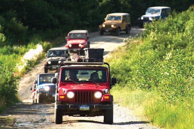 Ketchikan Jeep and Canoe Safari - Tongass National Forest in a 4WD Jeep Wrangler: drive time and photo stops