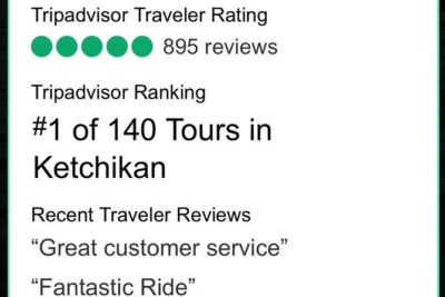 Ketchikan: Kayak Eco-Tour - The 4-hour timeline: from cruise pickup to dock-to-dock paddling