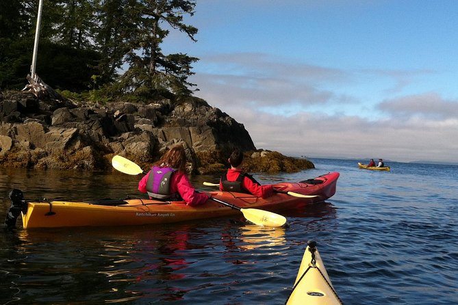 Ketchikan Kayak Eco-Tour - Rain gear, snacks, and photo time: what you actually get after the paddle
