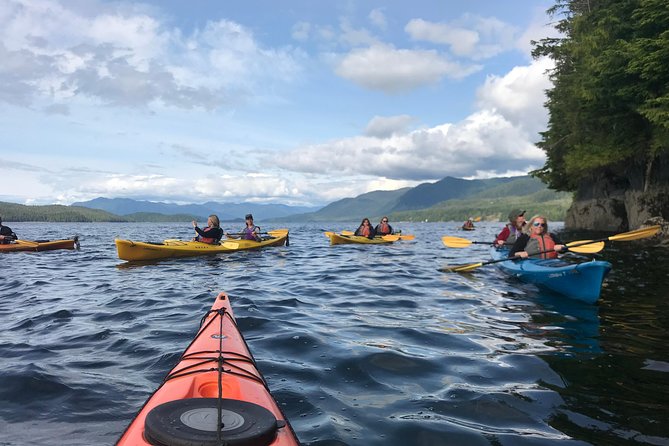 Ketchikan Kayak Eco-Tour - Should you book this Ketchikan Kayak Eco-Tour?